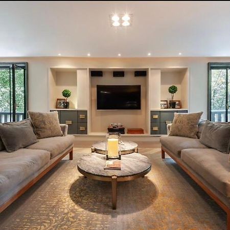 Condesa Super Loft Apartment مدينة مكسيكو المظهر الخارجي الصورة